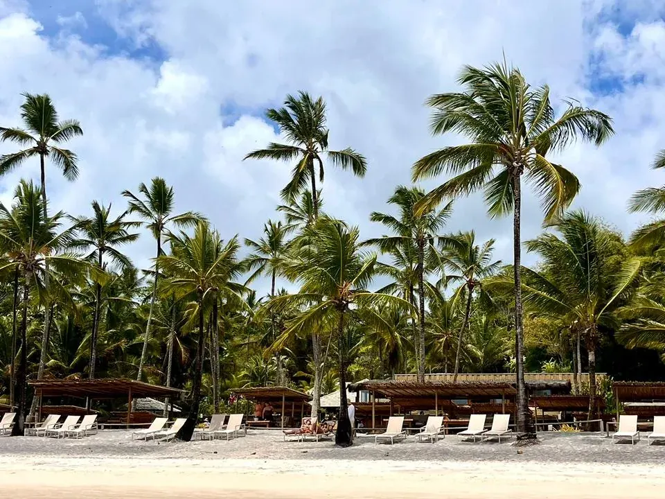 Praias de Surf e Roteiros de Costa